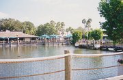 015-The pool where the dolphins live